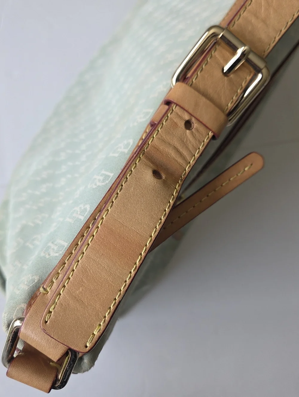 Dooney & Bourke Light Green Satchel with Tan Trim and Gold Hardware